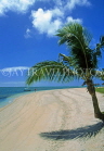 MAURITIUS, East Coast, beach and coconut tree, near Le Saint Geran Hotel, MRU391JPL