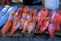 MAURITIUS, North Coast, Grand Bay Fish Market, Red Snapper, MRU210JPL