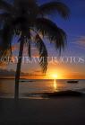 MAURITIUS, North Coast beaches, near Grand Bay, sunset and coconut tree, MRU228JPL