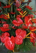 MAURITIUS, red Anthurium flowers, MRU287JPL