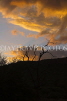 NAMIBIA, Waterberg National Park, sunset, NAM170JPL