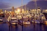 NEW ZEALAND, North Island, AUCKLAND, dusk over city and yacht harbour, NZ13JPL
