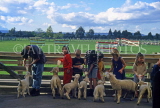 NEW ZEALAND, North Island, ROTORUA, Rainbow Farm, children bottle feeding lambs, NZ125JPL