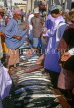 OMAN, Muscat, Al Muttrah fish market scene, OMA77JPL