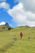 PERU, Chupani, Andean Mountain scenery, woman walking, PER66JPL