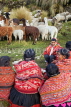 PERU, Chupani, Andean Mountains, villagers with a herd of Llamas, PER110JPL