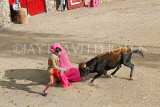 PERU, Ollantaytambo, Festival of the Cross (Choquekillka), bullfighting preformance, PER47JPL