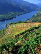 PORTUGAL, Duoro Valley, vineyards and Duoro River (near Serra do Marao), POR602JPL