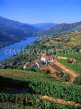 PORTUGAL, Duoro Valley, vineyards and Duoro River (near Serra do Marao area), POR597JPL