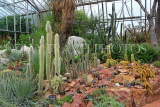 SCOTLAND, Edinburgh, Royal Botanic Garden, Glasshouses, Arid Lands House, SCO1186JPL