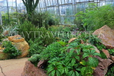 SCOTLAND, Edinburgh, Royal Botanic Garden, Glasshouses, Arid Lands House, SCO1189JPL