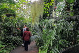 SCOTLAND, Edinburgh, Royal Botanic Garden, Glasshouses, SCO1215JPL