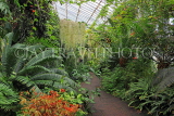 SCOTLAND, Edinburgh, Royal Botanic Garden, Glasshouses, SCO1216JPL