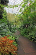 SCOTLAND, Edinburgh, Royal Botanic Garden, Glasshouses, SCO1217JPL