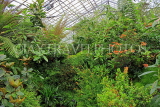 SCOTLAND, Edinburgh, Royal Botanic Garden, Glasshouses, SCO1235JPL