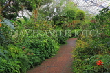 SCOTLAND, Edinburgh, Royal Botanic Garden, Glasshouses, SCO1236JPL