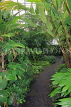 SCOTLAND, Edinburgh, Royal Botanic Garden, Glasshouses, SCO1239JPL