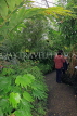 SCOTLAND, Edinburgh, Royal Botanic Garden, Glasshouses, SCO1240JPL