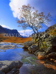 SCOTLAND, Highlands, GLENCOE, stream and autumn scenery, SCO136JPL