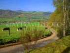 SCOTLAND, Highlands, Perthshire, Aberfeldy, country lane and scenery, SCO823JPL