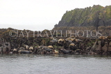 SCOTLAND, Queensferry, Seals resting on rocks on outer islands, SCO1272JPL