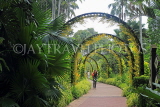 SINGAPORE, Botanic Gardens, Orchid Garden,  archway of Oncidium Orchids, IN1038JPL