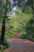 SINGAPORE, Botanic Gardens, Orchid Garden, SIN1057JPL