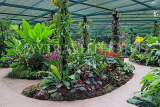 SINGAPORE, Botanic Gardens, Orchid Garden, SIN1058JPL