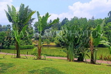 SINGAPORE, Botanic Gardens, SIN1007JPL