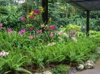 SINGAPORE, Botanical Gardens, Tropical Gardens, SIN533JPL