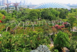 SINGAPORE, Gardens by the Bay, SIN457JPL