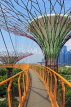 SINGAPORE, Gardens by the Bay, Supertree Grove,  Skyway, SIN454JPL