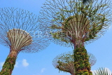 SINGAPORE, Gardens by the Bay, Supertree Grove, SIN435JPL