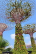 SINGAPORE, Gardens by the Bay, Supertree Grove, SIN436JPL