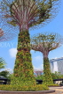 SINGAPORE, Gardens by the Bay, Supertree Grove, SIN437JPL