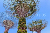 SINGAPORE, Gardens by the Bay, Supertree Grove, SIN438JPL
