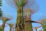 SINGAPORE, Gardens by the Bay, Supertree Grove, SIN442JPL