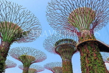 SINGAPORE, Gardens by the Bay, Supertree Grove, SIN443JPL
