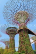 SINGAPORE, Gardens by the Bay, Supertree Grove, SIN444JPL
