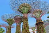 SINGAPORE, Gardens by the Bay, Supertree Grove, SIN445JPL