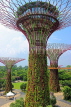 SINGAPORE, Gardens by the Bay, Supertree Grove, SIN447JPL