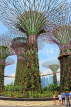SINGAPORE, Gardens by the Bay, Supertree Grove, SIN450JPL