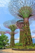 SINGAPORE, Gardens by the Bay, Supertree Grove, SIN451JPL