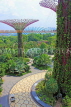 SINGAPORE, Gardens by the Bay, Supertree Grove, SIN455JPL
