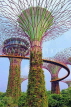 SINGAPORE, Gardens by the Bay, Supertree Grove, SIN472JPL