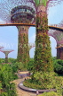 SINGAPORE, Gardens by the Bay, Supertree Grove, SIN474JPL