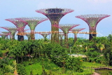 SINGAPORE, Gardens by the Bay, Supertree Grove, SIN475JPL