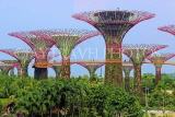 SINGAPORE, Gardens by the Bay, Supertree Grove, SIN476JPL