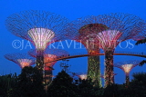SINGAPORE, Gardens by the Bay, Supertree Grove, illuminations, SIN481JPL
