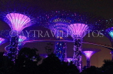 SINGAPORE, Gardens by the Bay, Supertree Grove, illuminations, SIN495JPL
